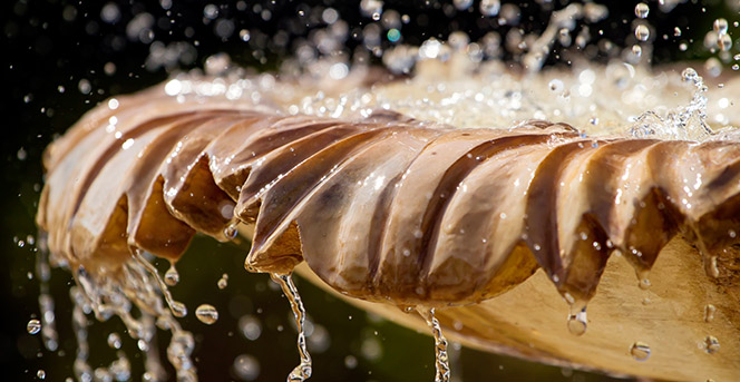 fuentes y cascadas - Waterlife